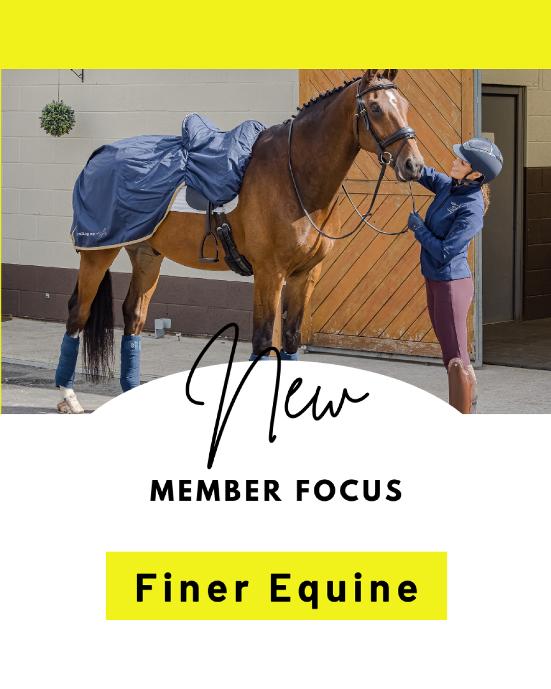 MEMBER FOCUS Posts
