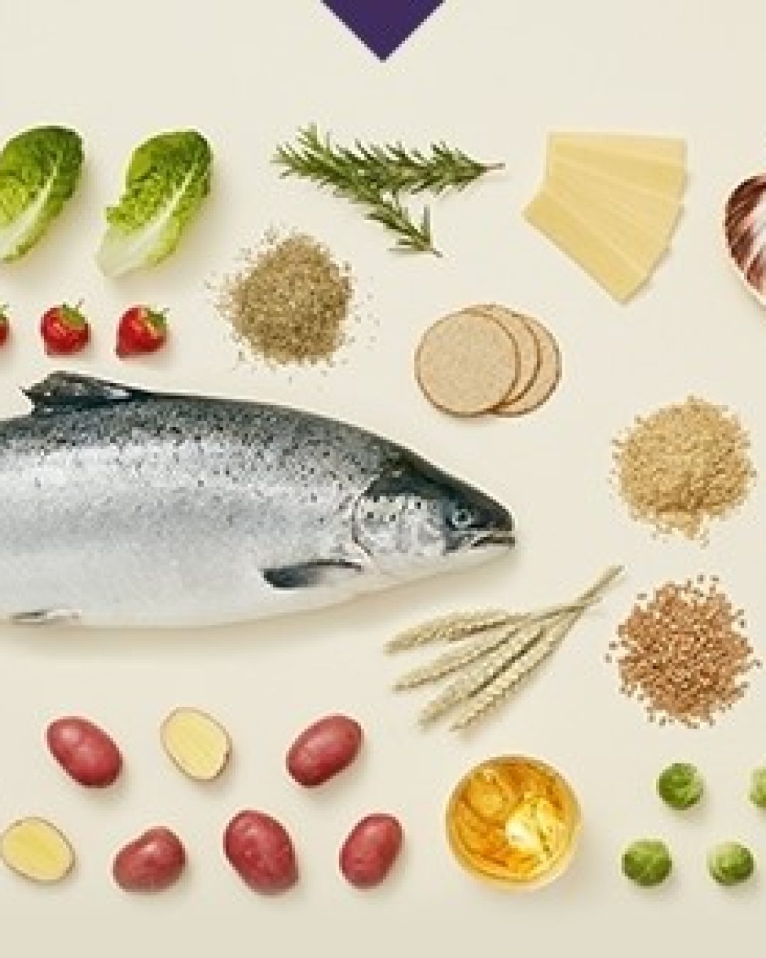 food-for-thought-image