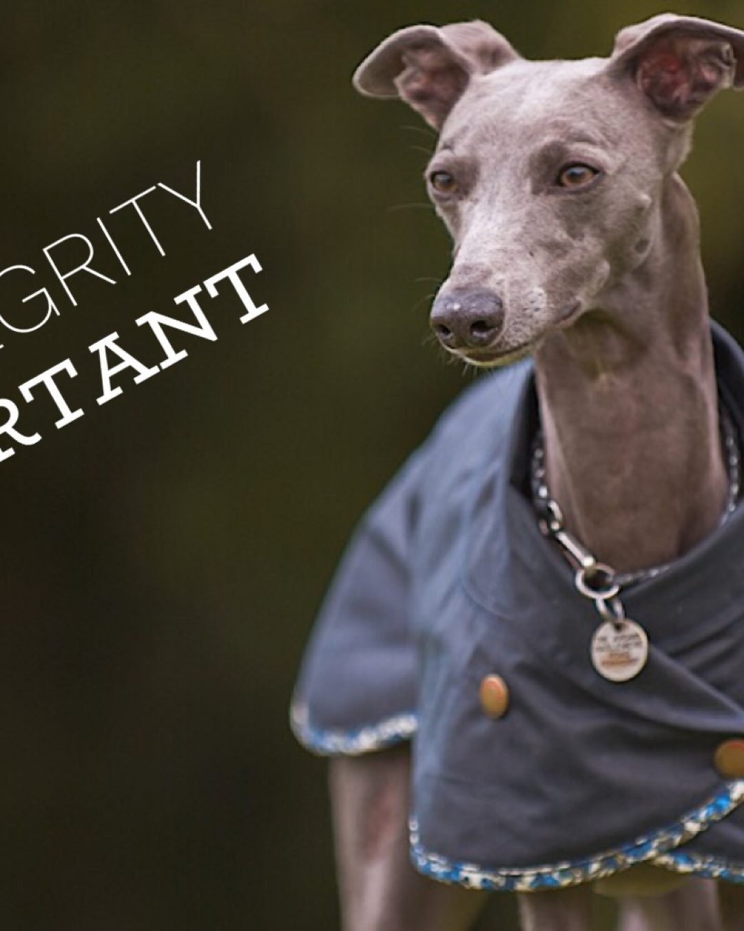 Redhound integrity-cover