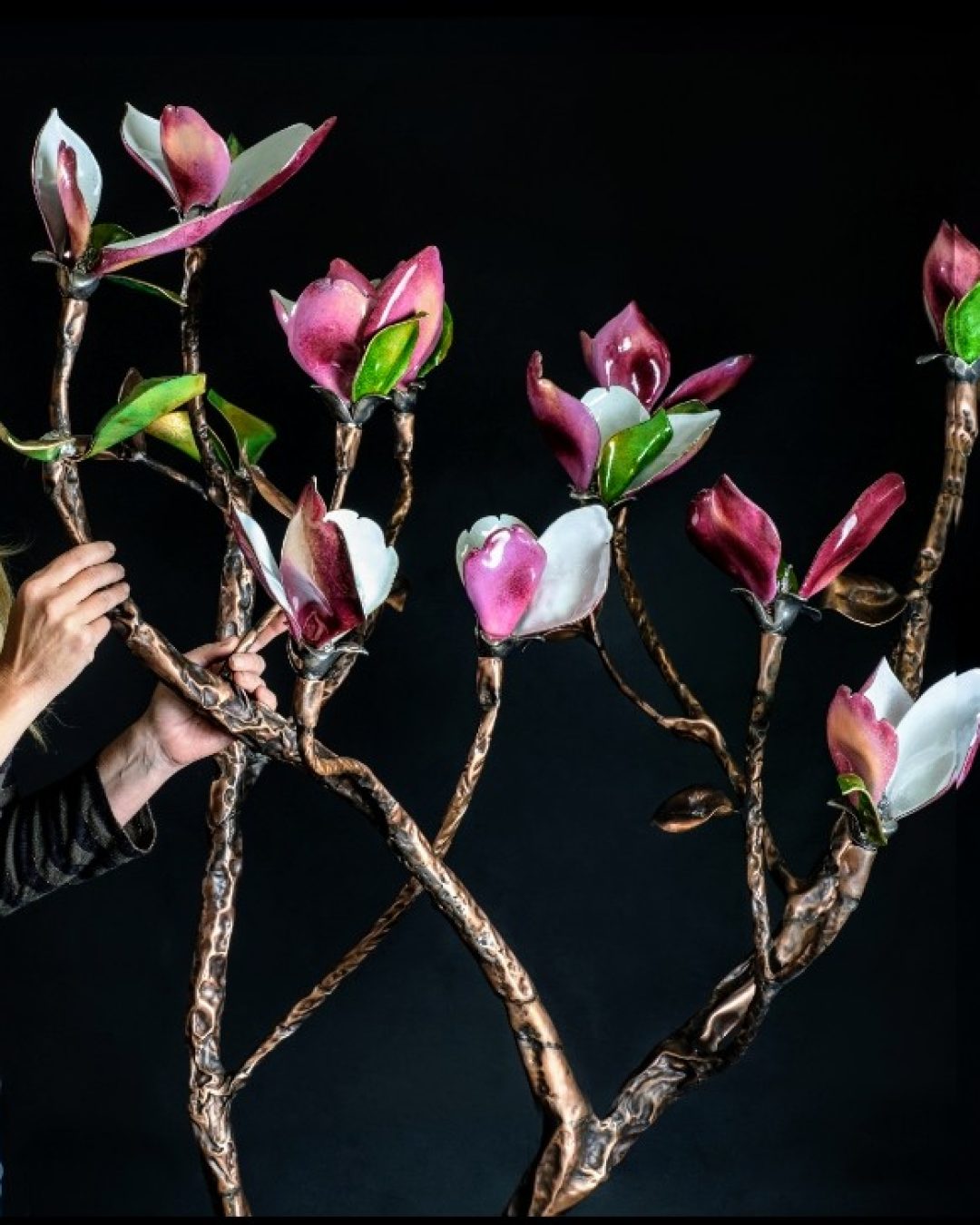 Screenshot_20190916-094517_Photos